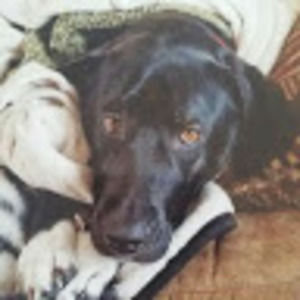 Meet your Posher, Kaitlyn